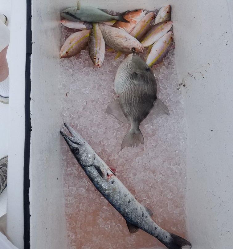 Good Time Charter Fishing-朱庇特必去景点