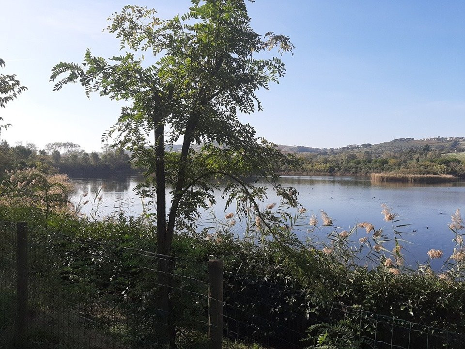 Oasi Parco dei Laghetti景点图片