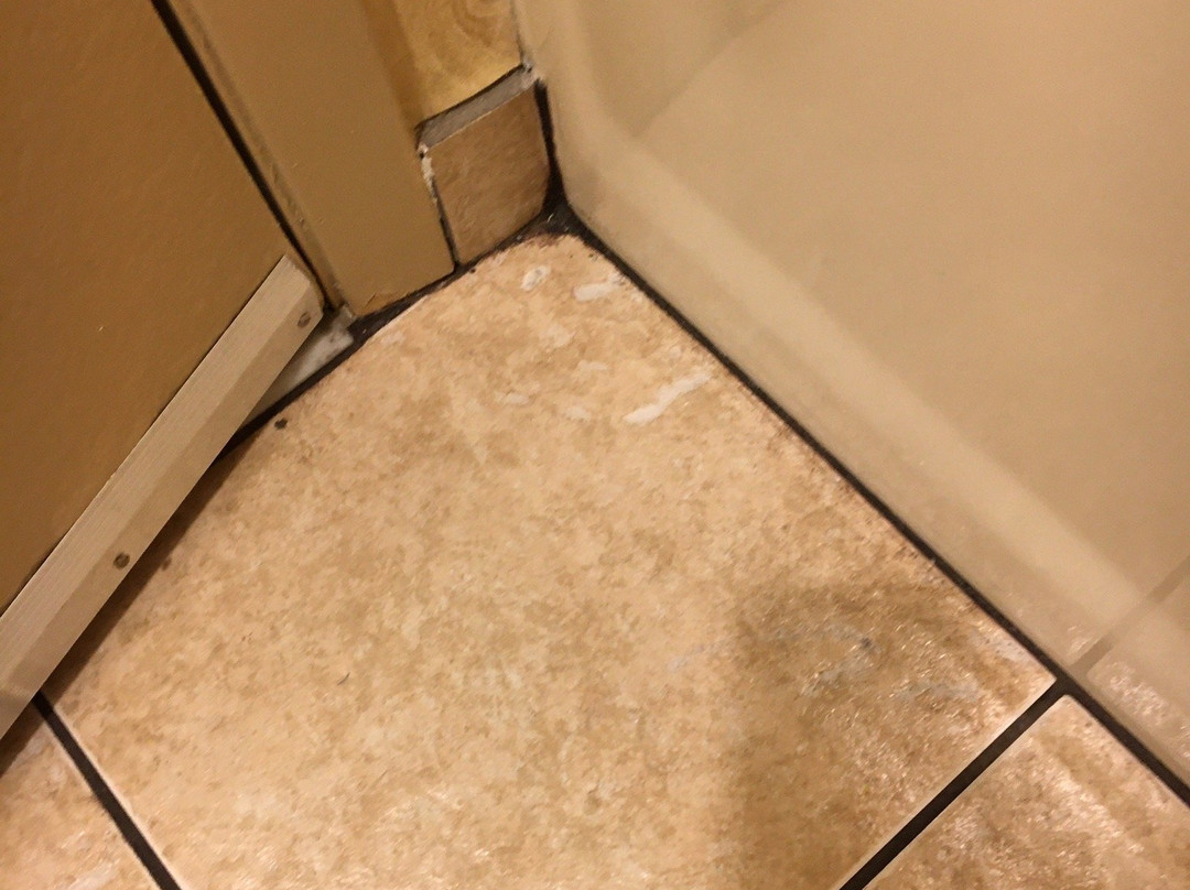 Best Western Inn & Suites主图