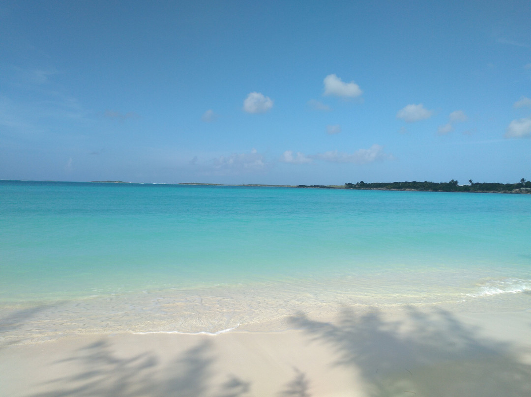 Jolly Hall Beach