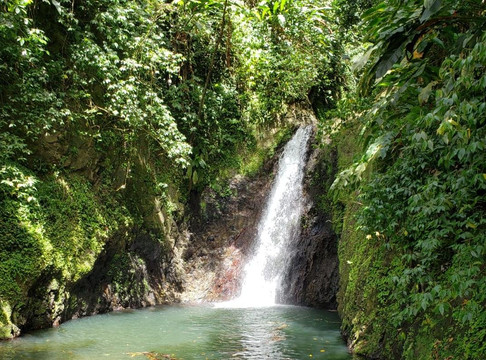 Grenada Exotic Tours