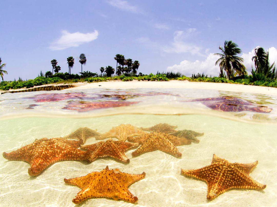 Starfish Point景点图片