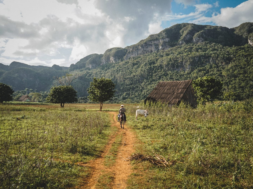 The Vinales Experience, Cuba-维纳勒斯必去景点