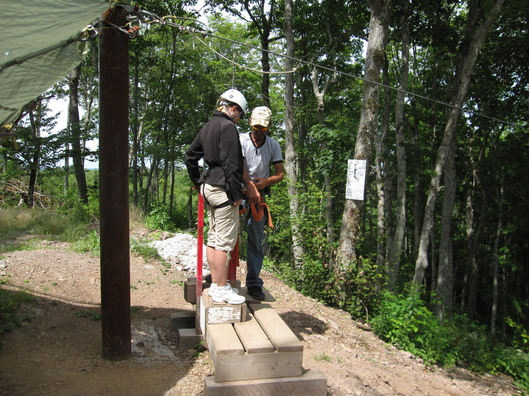Anchors Above Zipline-新斯科舍必去景点