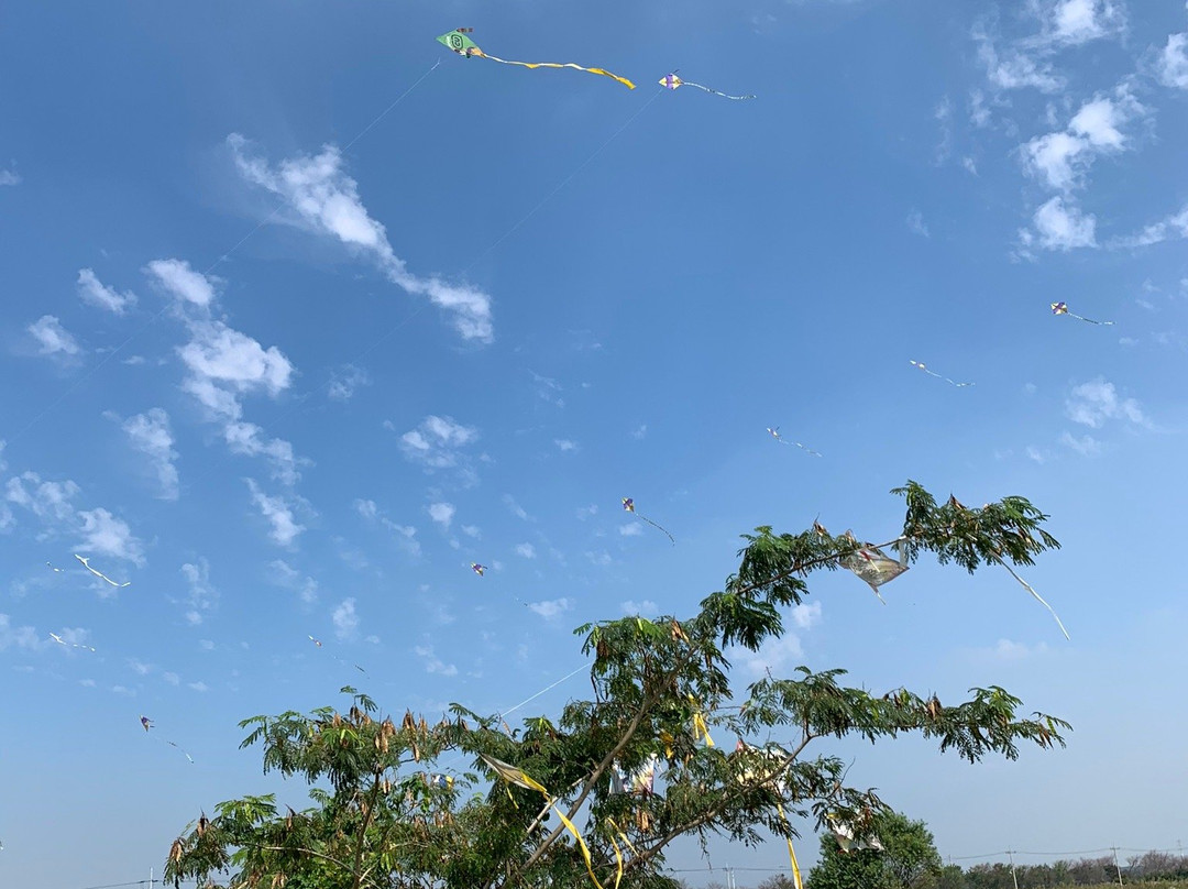 Gimje Horizon Festival-金堤市必去景点