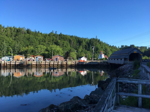 Go Fundy Tours-圣约翰必去景点