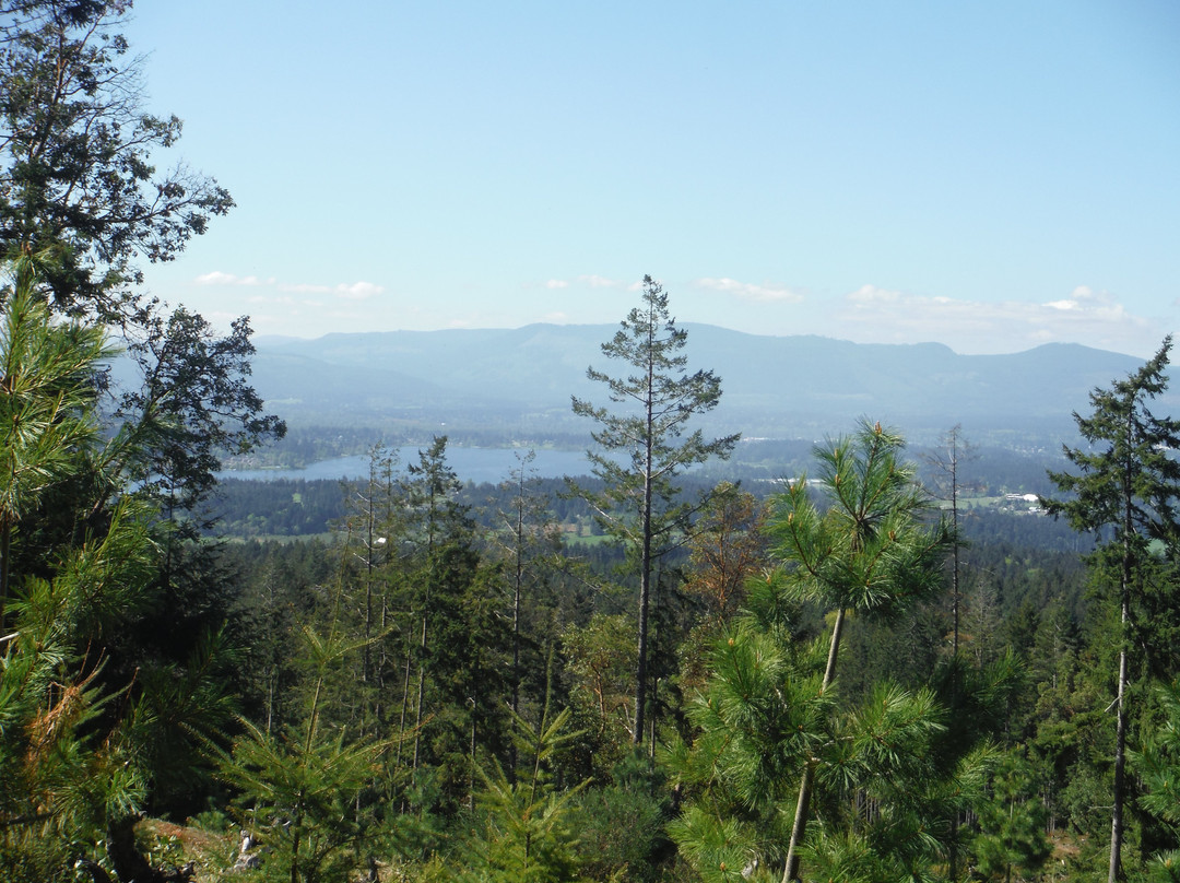 Maple Mountain trails景点图片