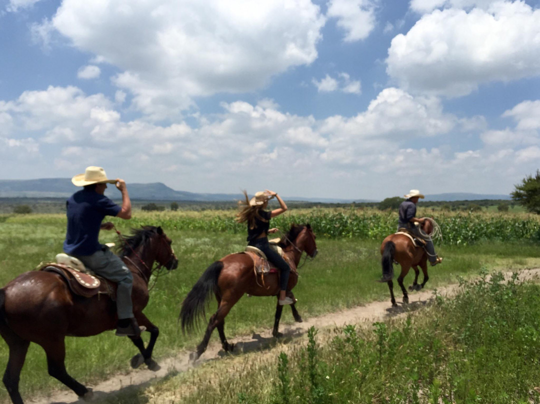 Rancho Xotolar-圣米格尔护城必去景点