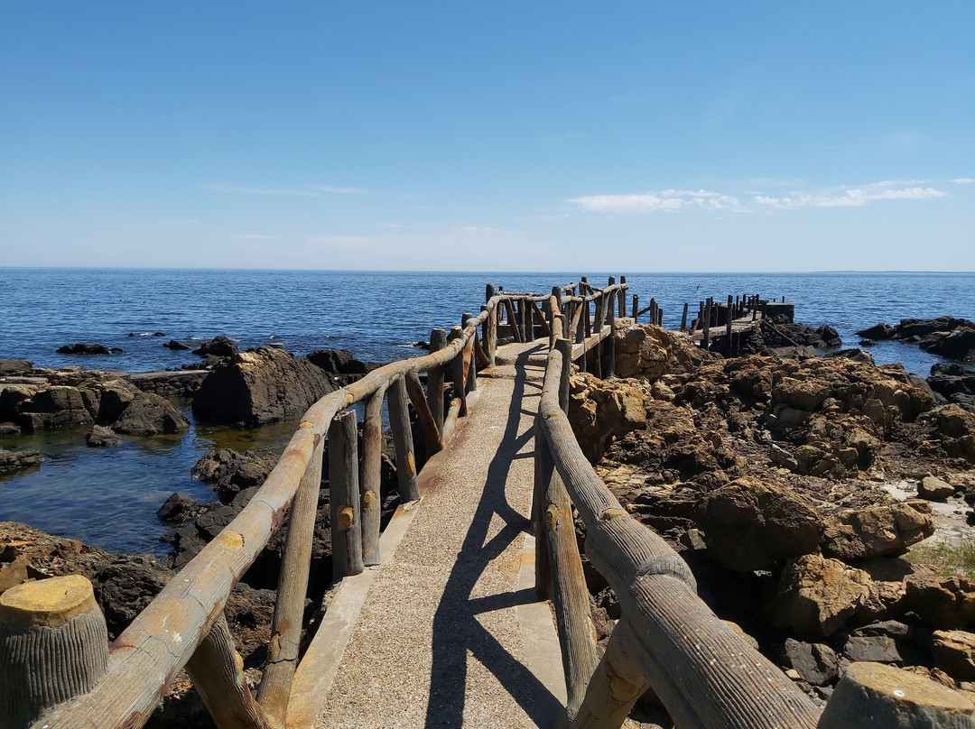 Muelle Pesquero Stella Maris-Piriapolis必去景点