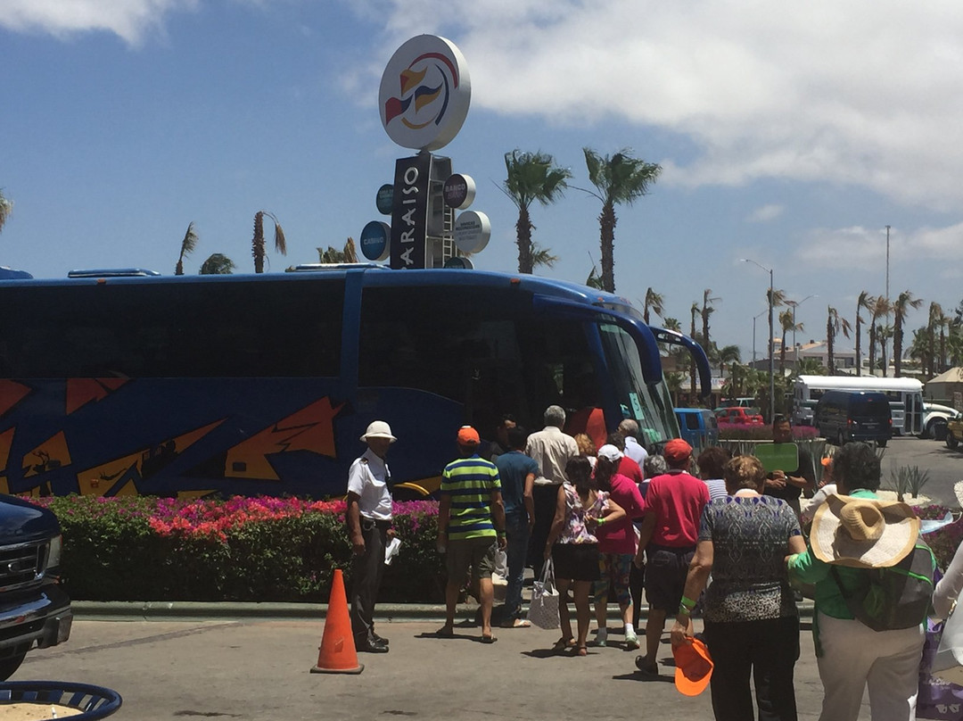 SJD Cabo Airport Taxi景点图片