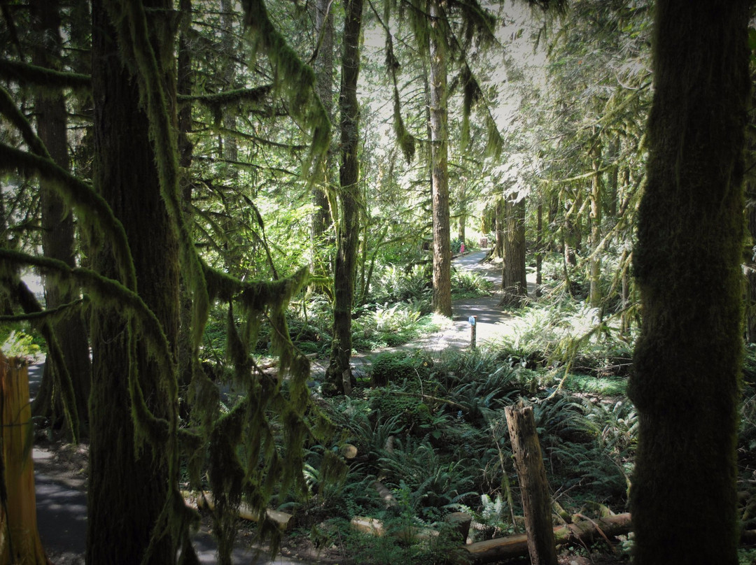 Wildwood Recreation Site