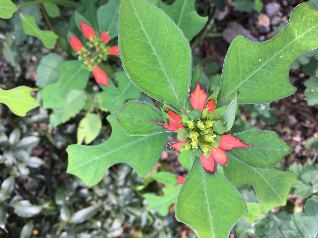 Kondo Brewery-秋留野市必去景点