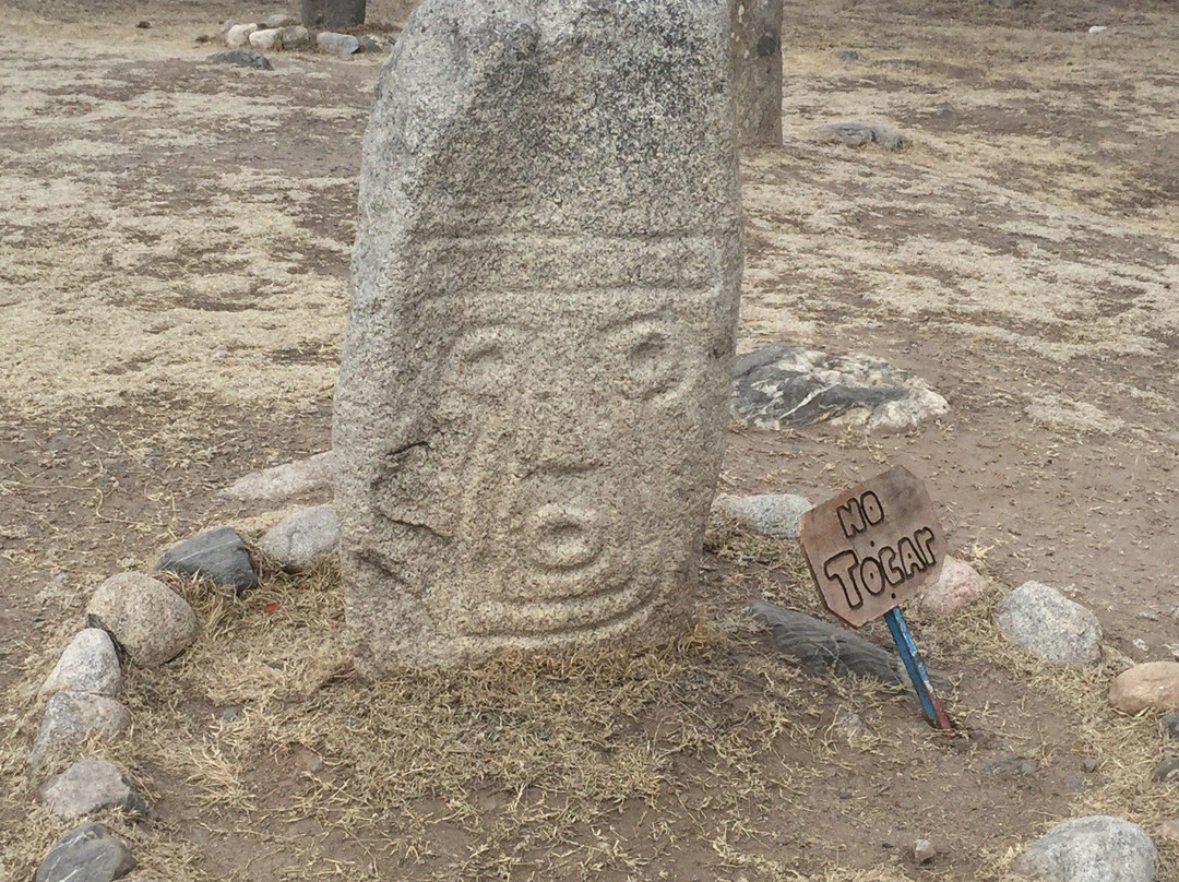 Archaeological Reserve Menhires景点图片