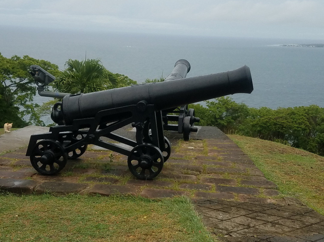 Tobago Fun Island Tours-多巴哥必去景点