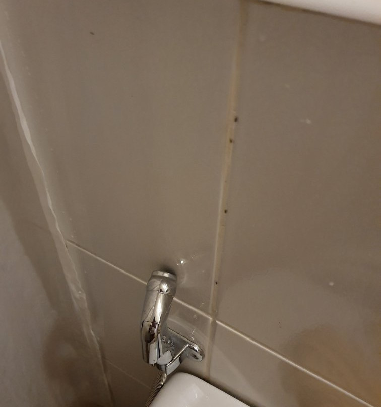 巴拉望蓝波酒店主图