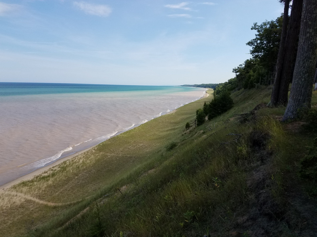 Magoon Creek Park景点图片