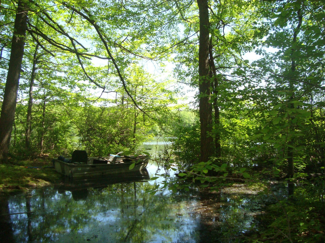 Ely Lake Park景点图片