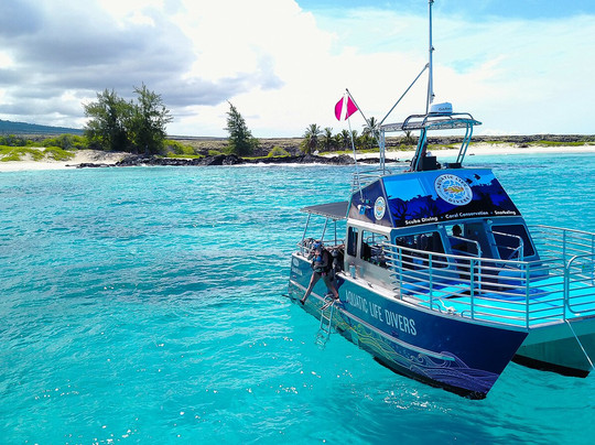 Aquatic Life Divers, Kona-凯鲁瓦-柯纳必去景点