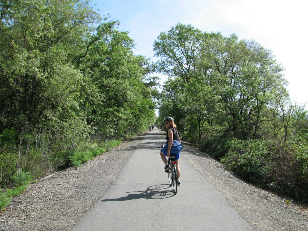 Joe Rodota Trail at Sonoma County Parks景点图片