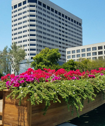 Kaiser Center Roof Garden景点门票图片
