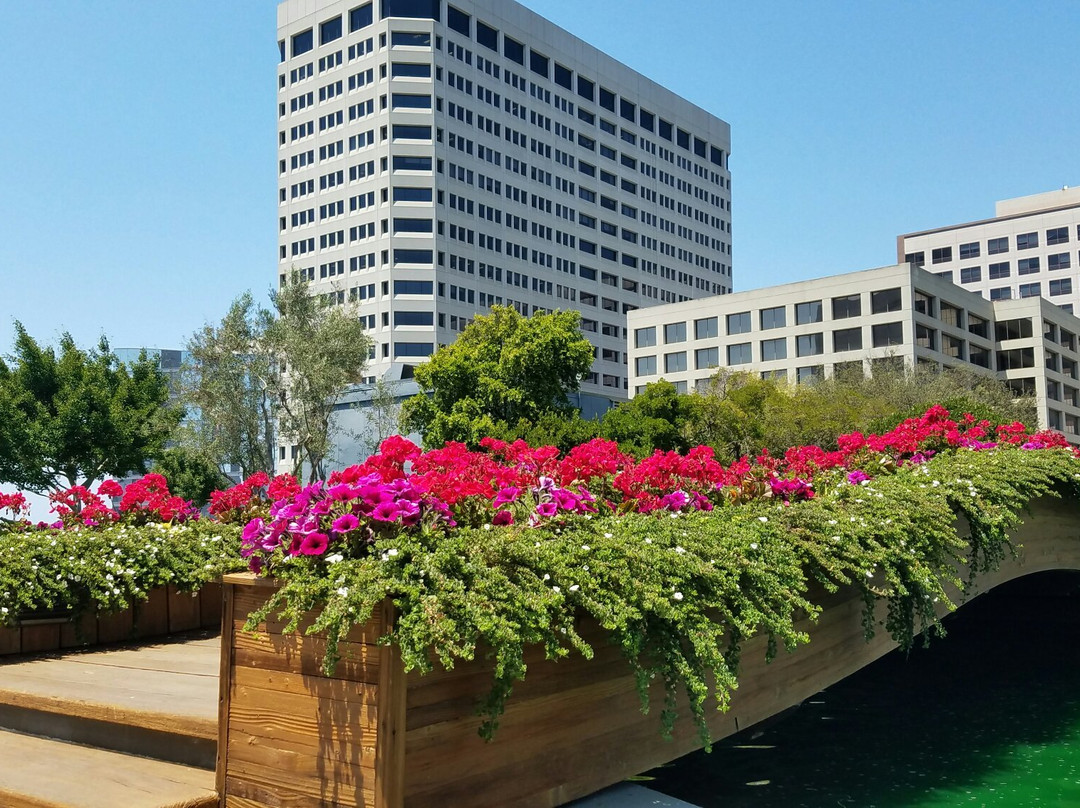 Kaiser Center Roof Garden-奥克兰必去景点
