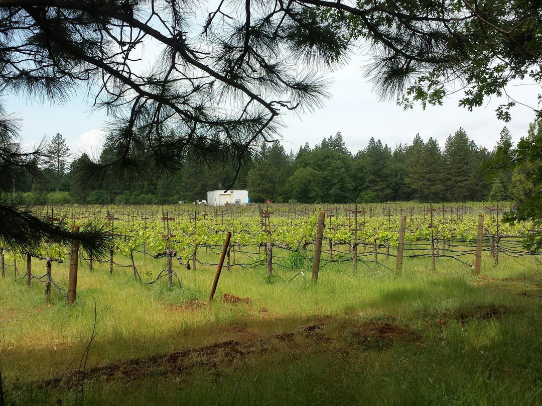 Mount Tehama Winery景点图片