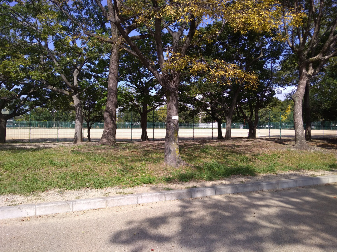 Suminoe Park-大阪市必去景点