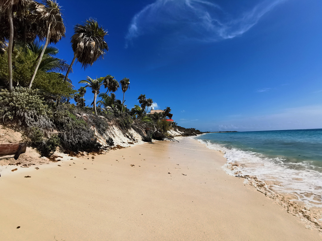 Wild Dolphin Tour-图伦必去景点