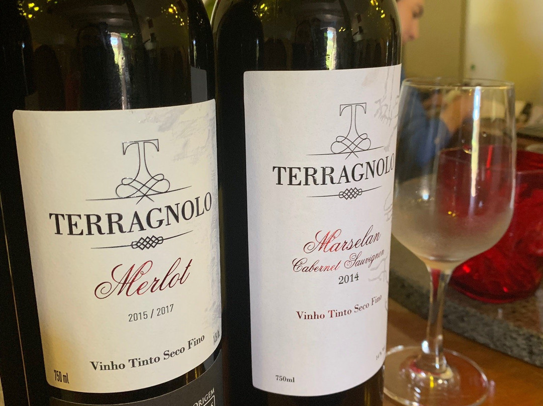 Vinícola Terragnolo-本图贡萨尔维斯必去景点