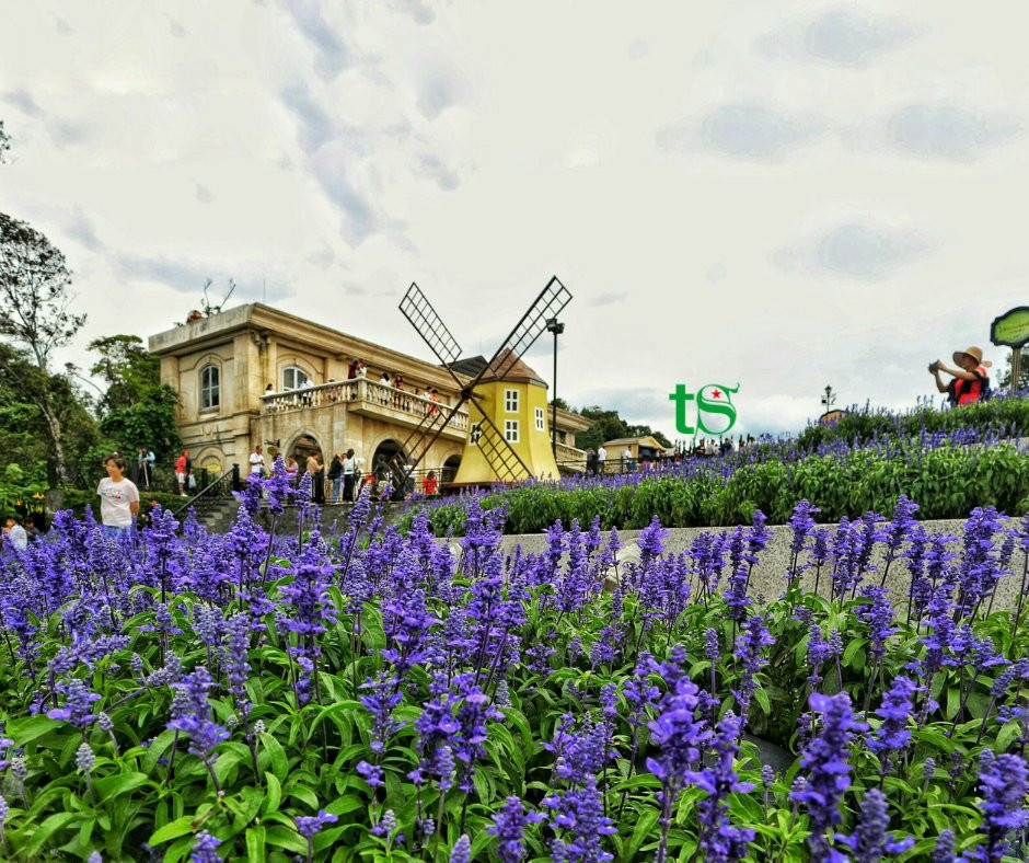 L'Indochine Hotel - Banahills主图