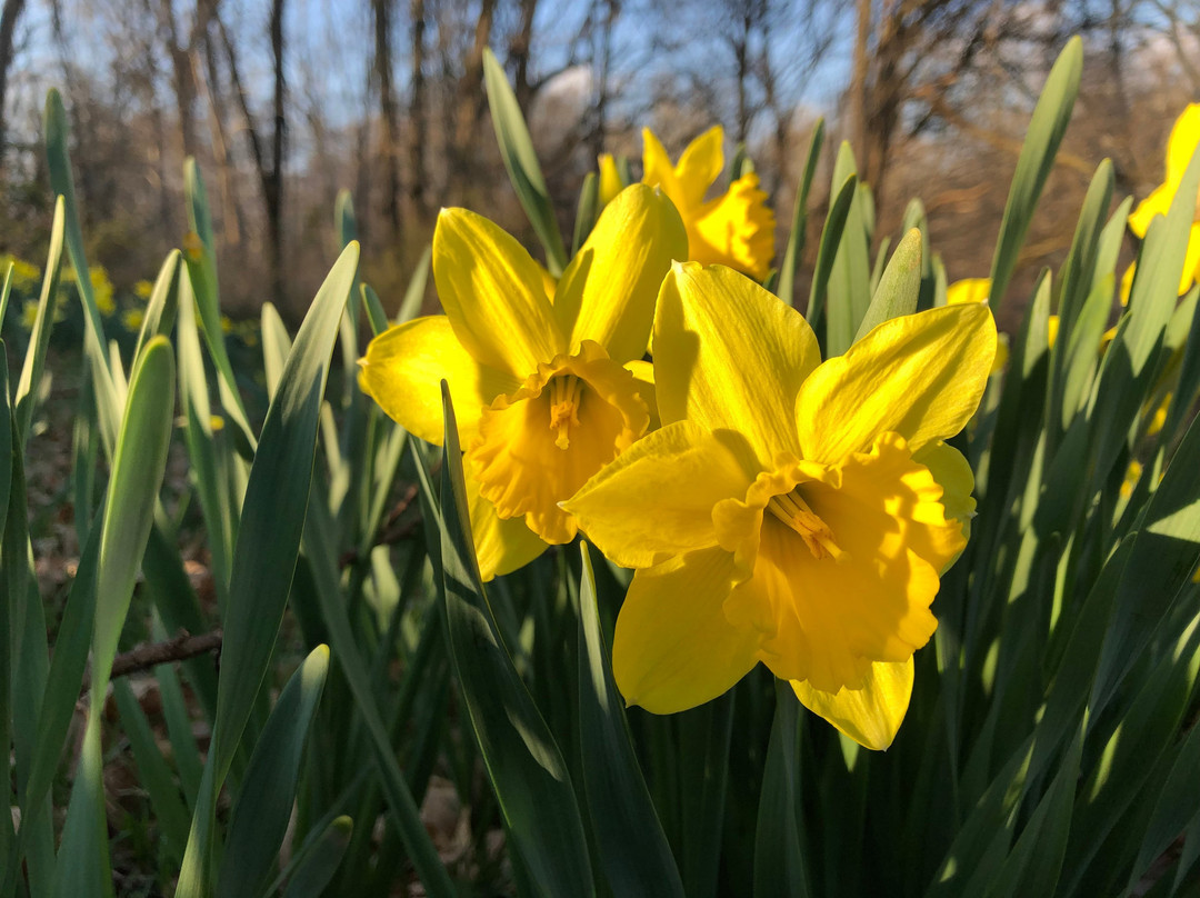 Valley Garden Park-Greenville必去景点