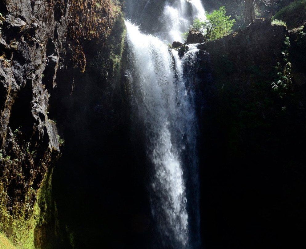 Falls Creek Falls景点图片