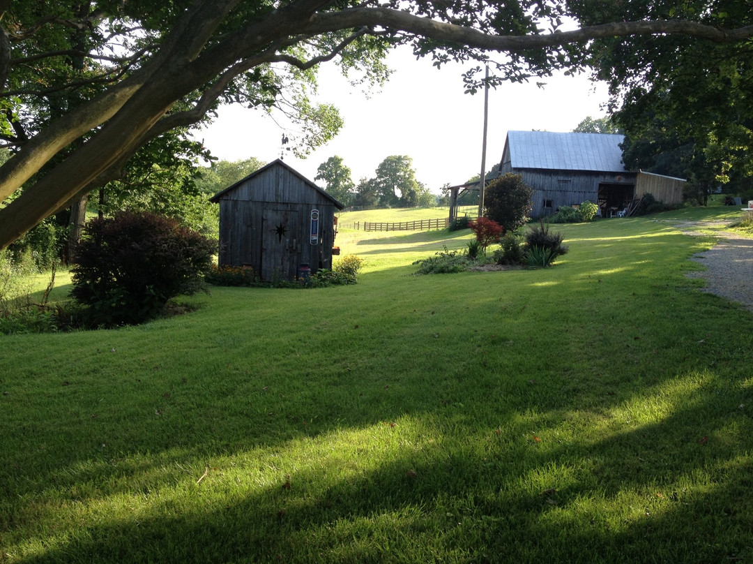 Rocky Mount旅游景点-Pacabella Farm Alpacas & Boutique