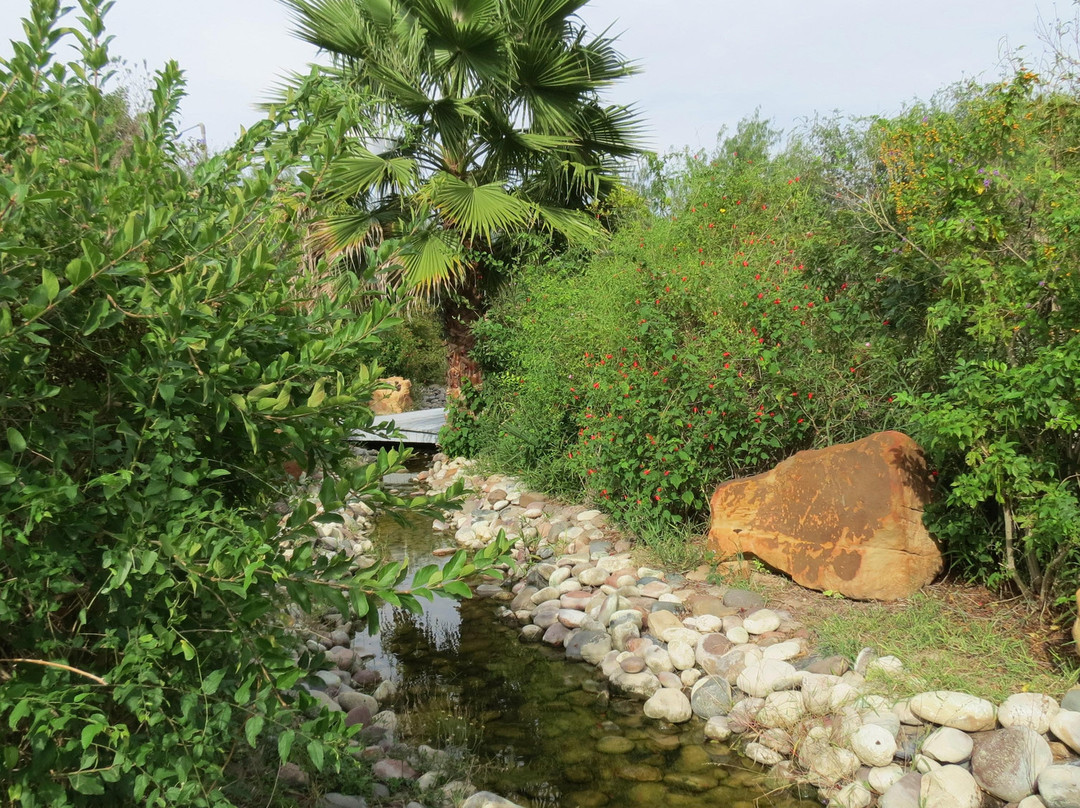Rio Bravo旅游景点-Old Hidalgo Pumphouse Museum and World Birding Center