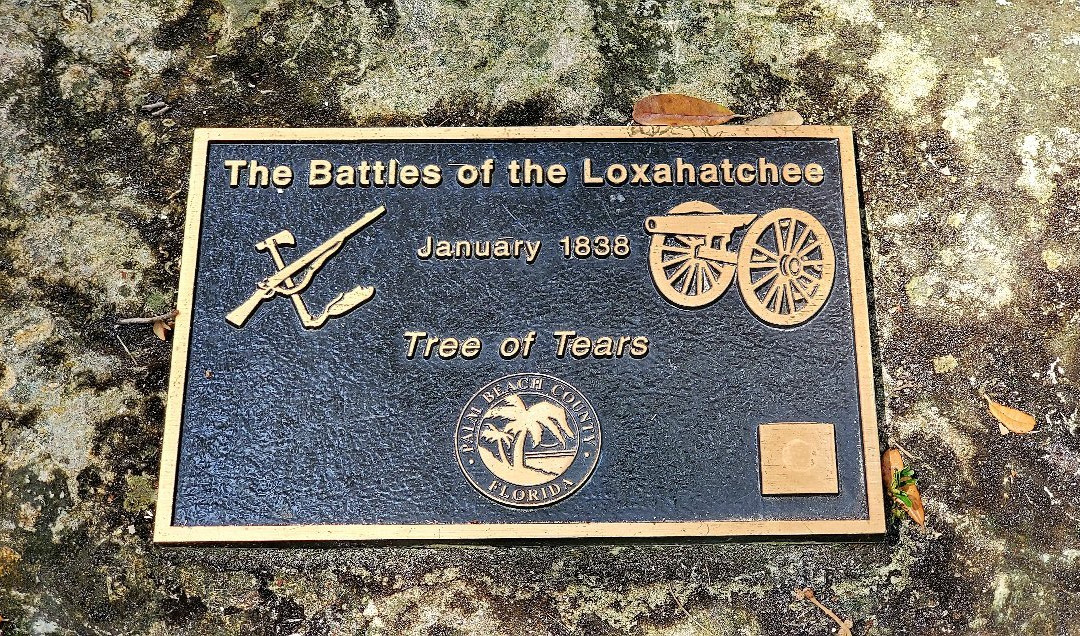 Loxahatchee River Battlefield Park-朱庇特必去景点
