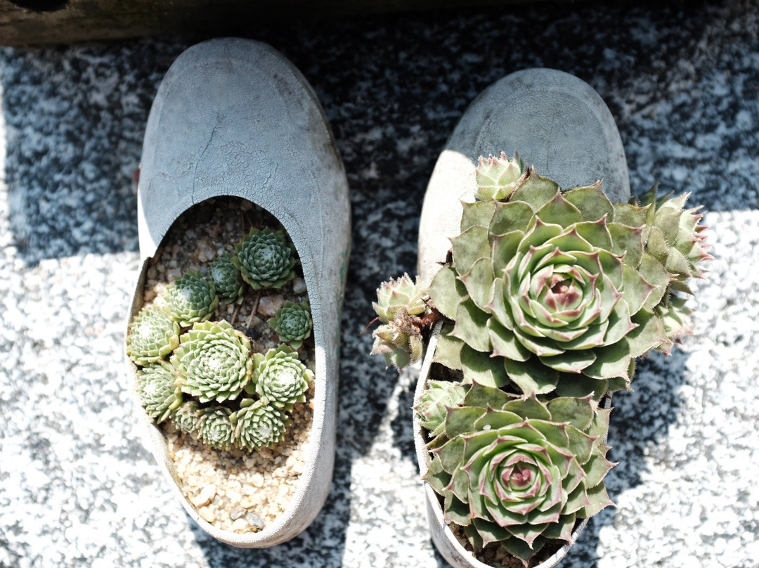 Cheongnyangsa Temple-奉化郡必去景点