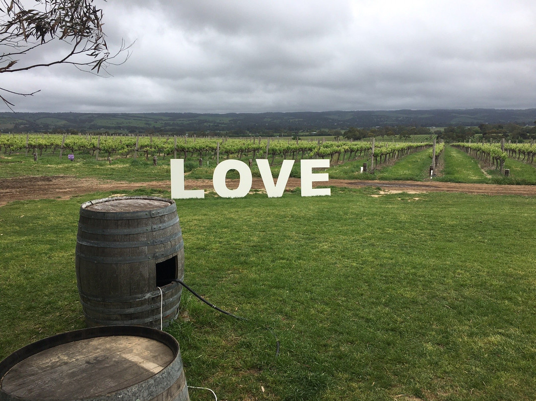 Ekhidna Wines McLaren Vale Cellar Door景点图片