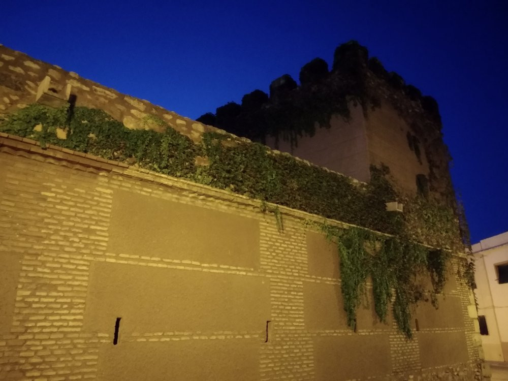 Castillo De Manzanares景点图片