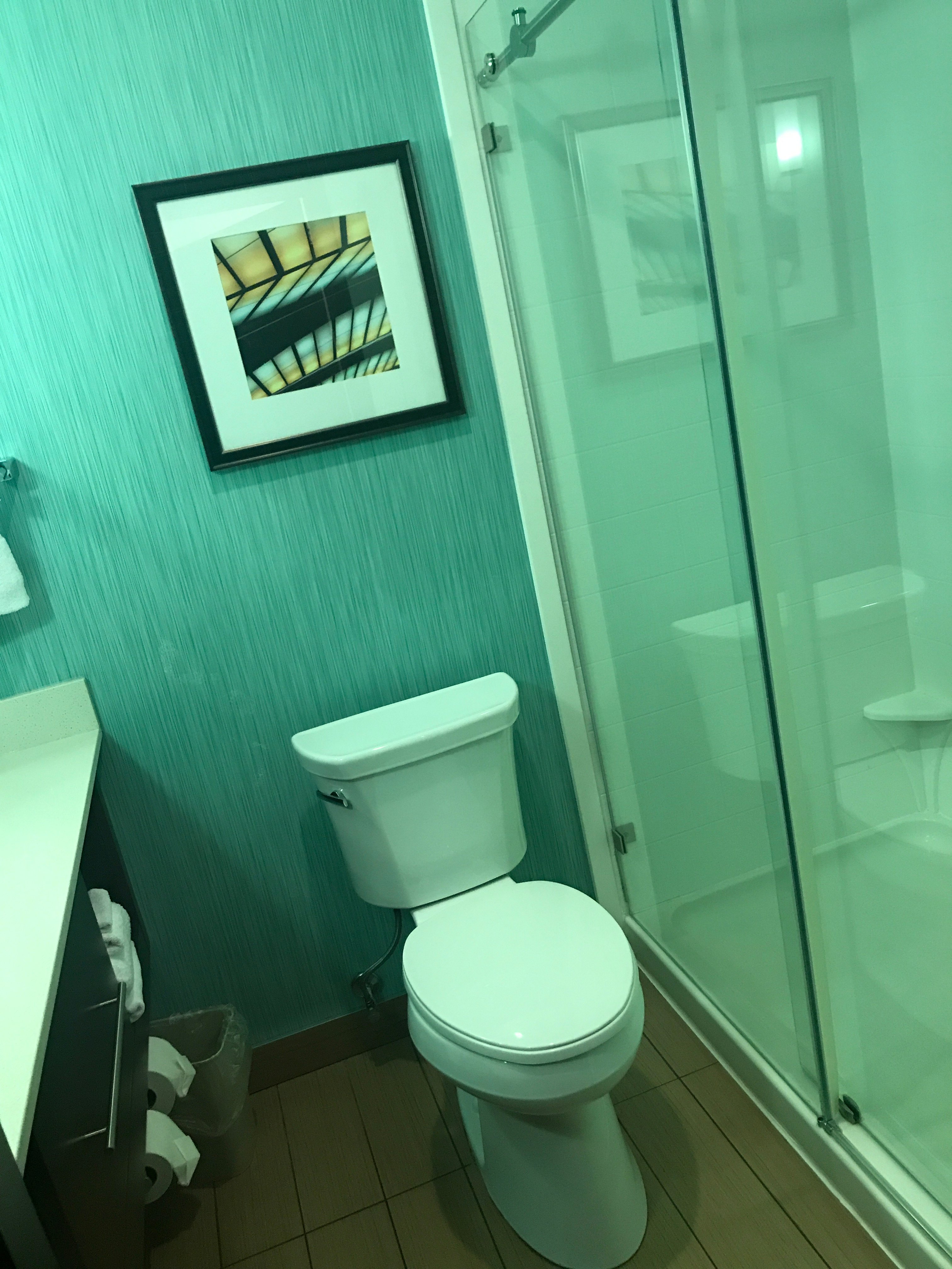 Holiday Inn & Suites Edmonton Arpt - Conference Ctr By IHG-浴室