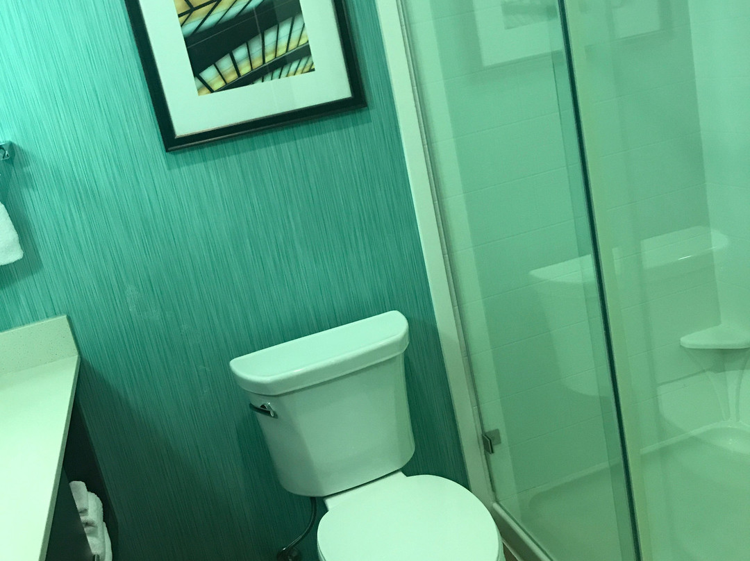 Holiday Inn & Suites Edmonton Arpt - Conference Ctr By IHG主图