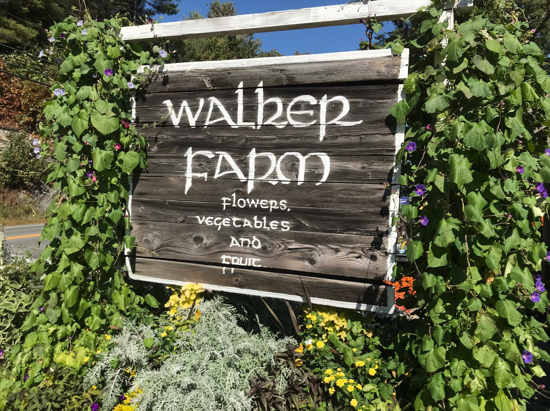 Walker Farm-Dummerston必去景点