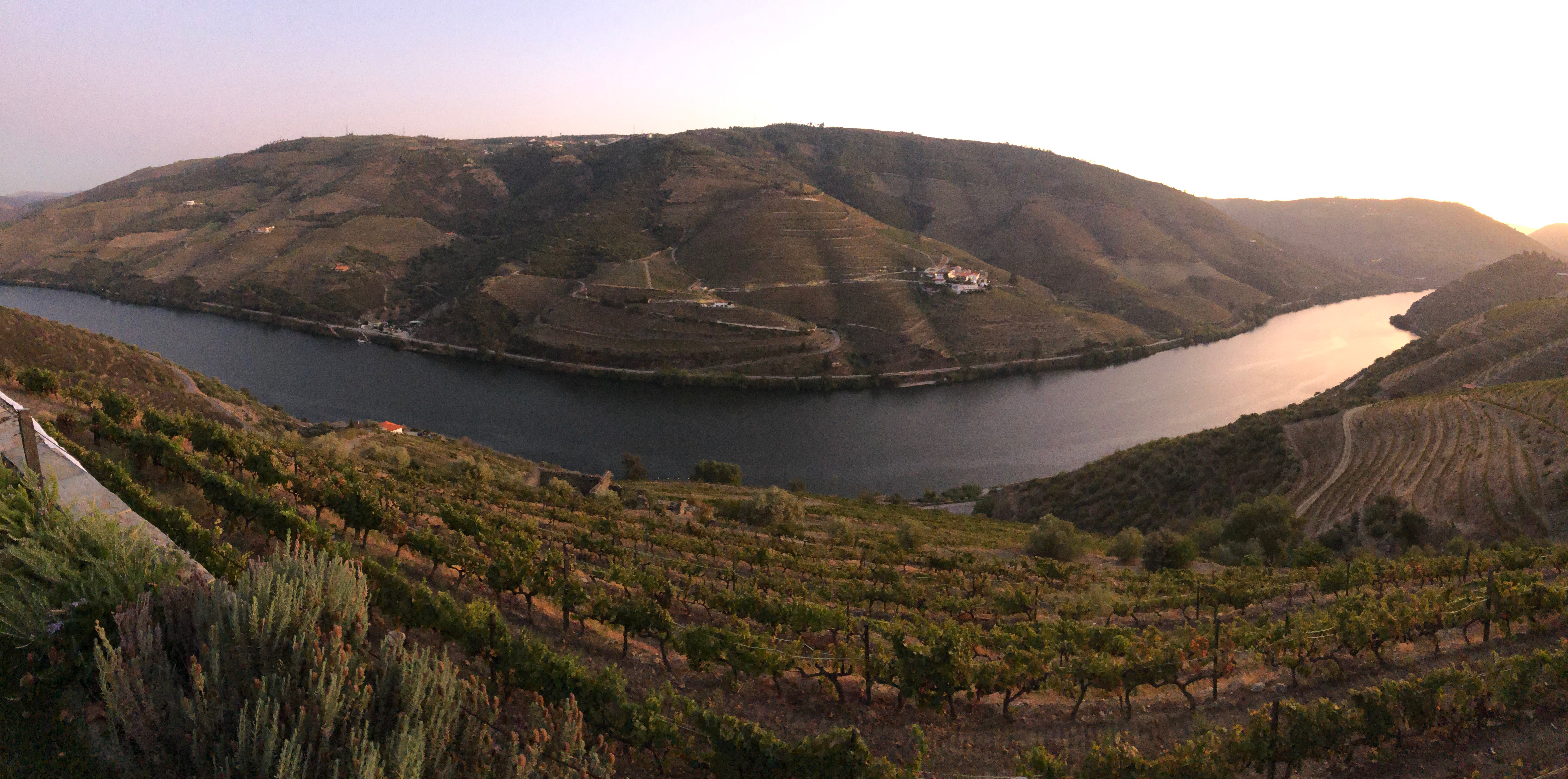 Quinta da Veiga-泳池