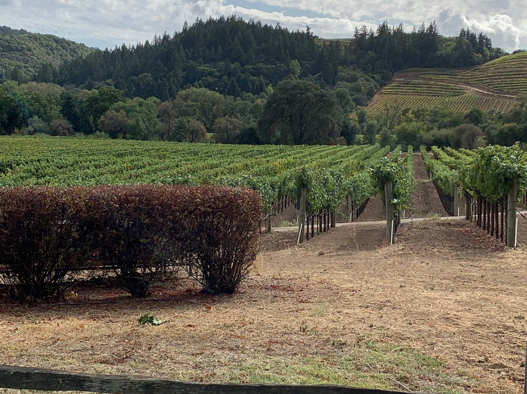 Dutcher Crossing Winery-希尔兹堡必去景点