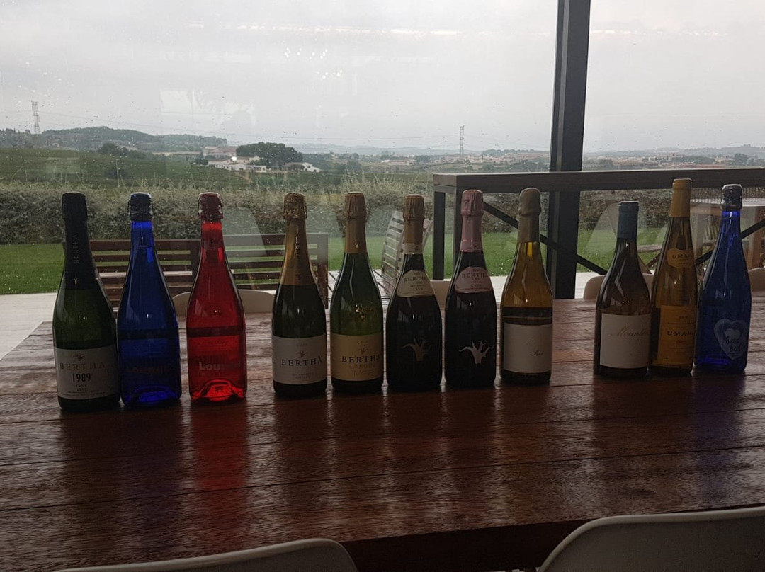 Cava Bertha景点图片
