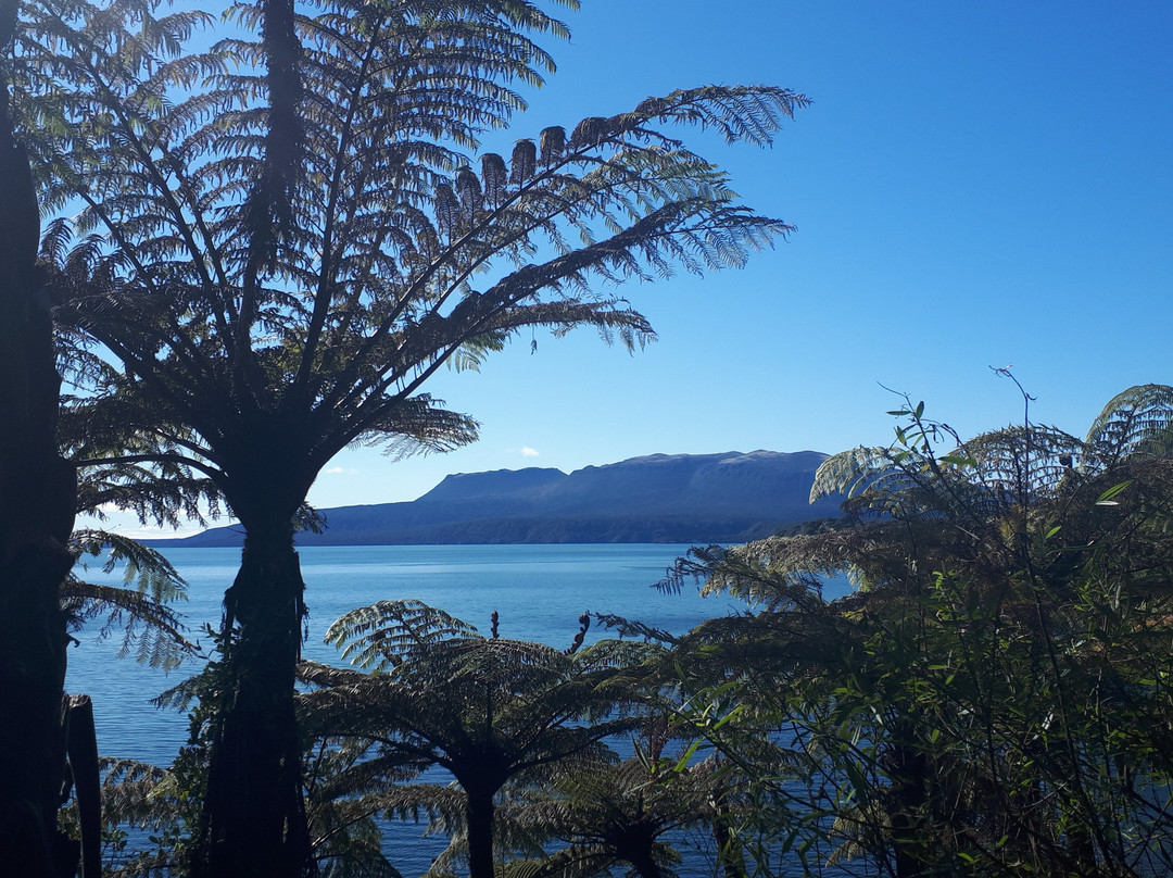 Tarawera Trail景点图片