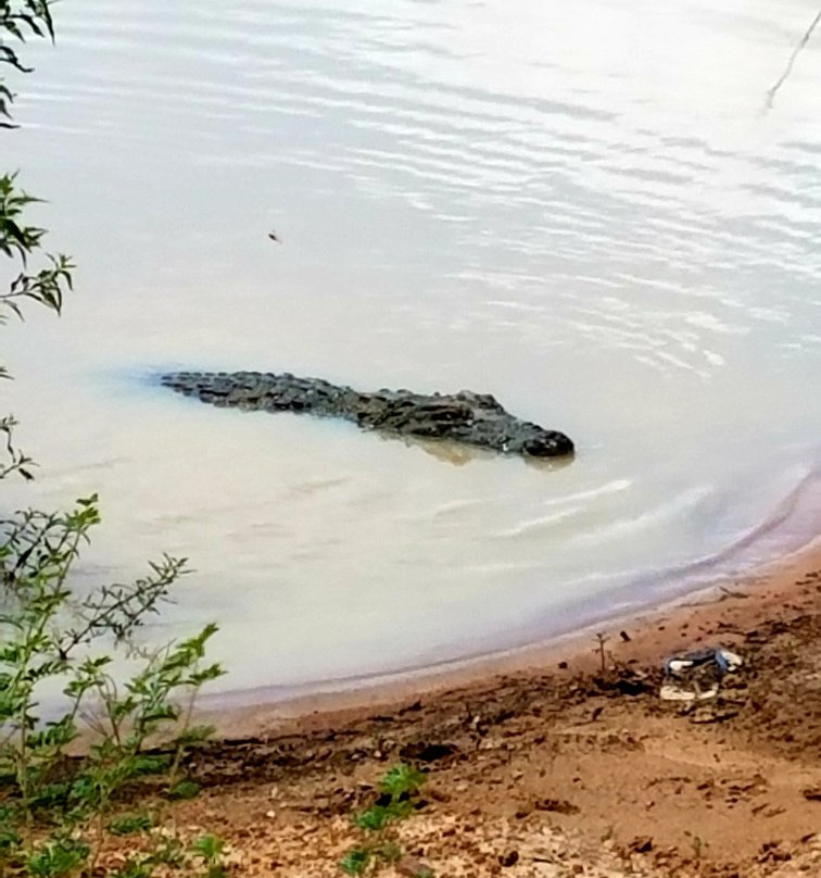 Parc Crocodile de Bazoule景点图片