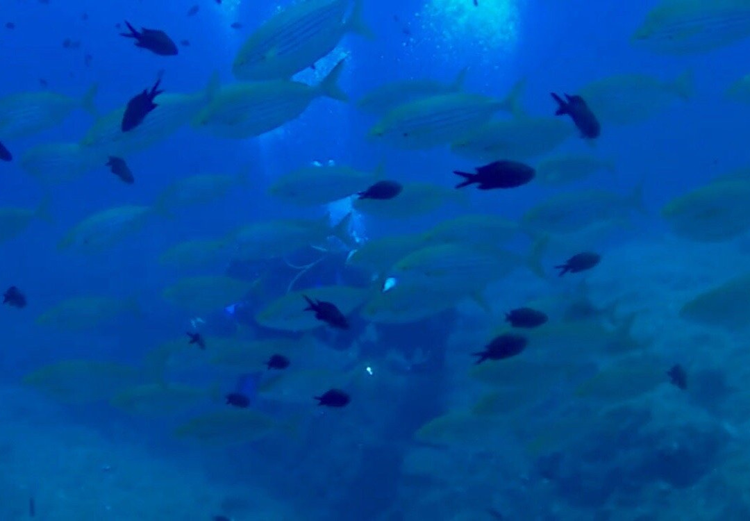 Nautilus Technical Diving Center-Santo Stefano al Mare必去景点