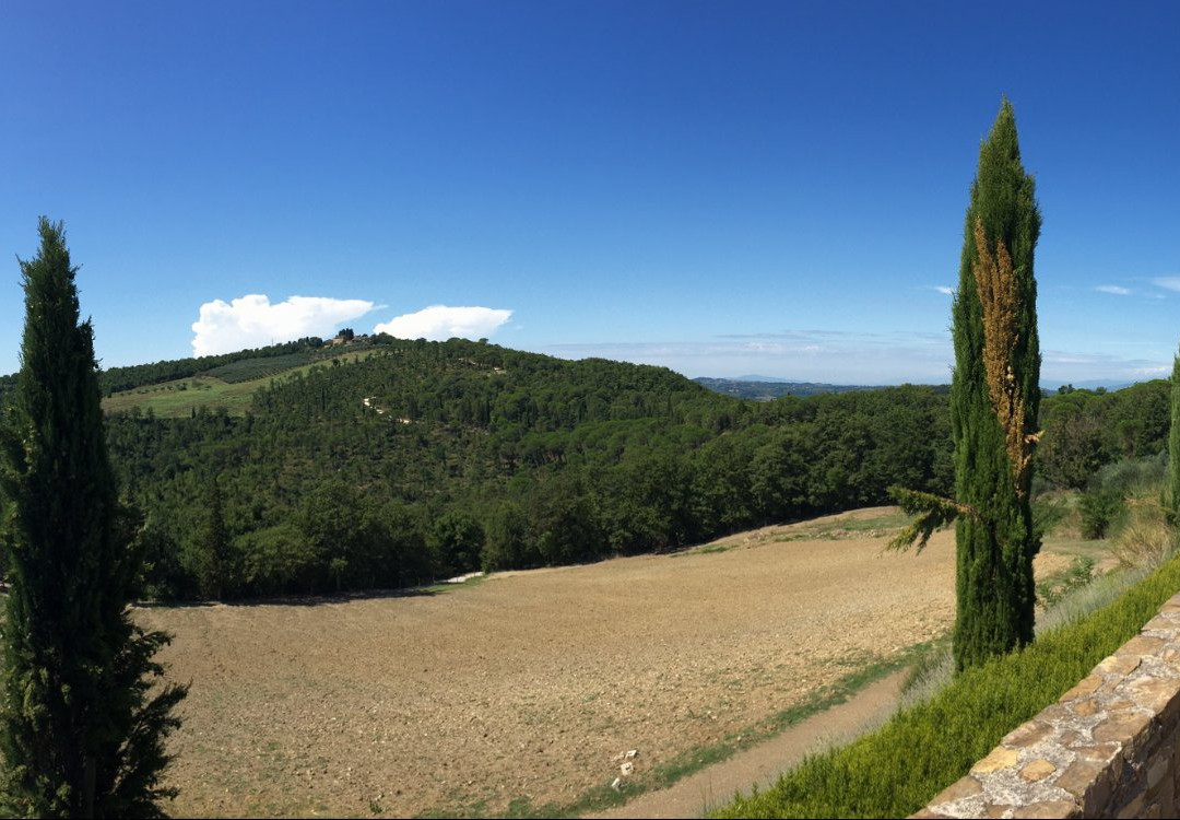 Poggio al Sole Winery景点图片