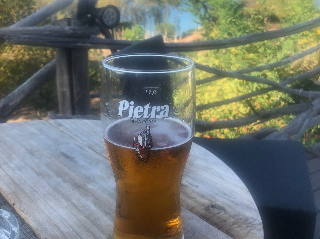 Hotel Le Ressac主图