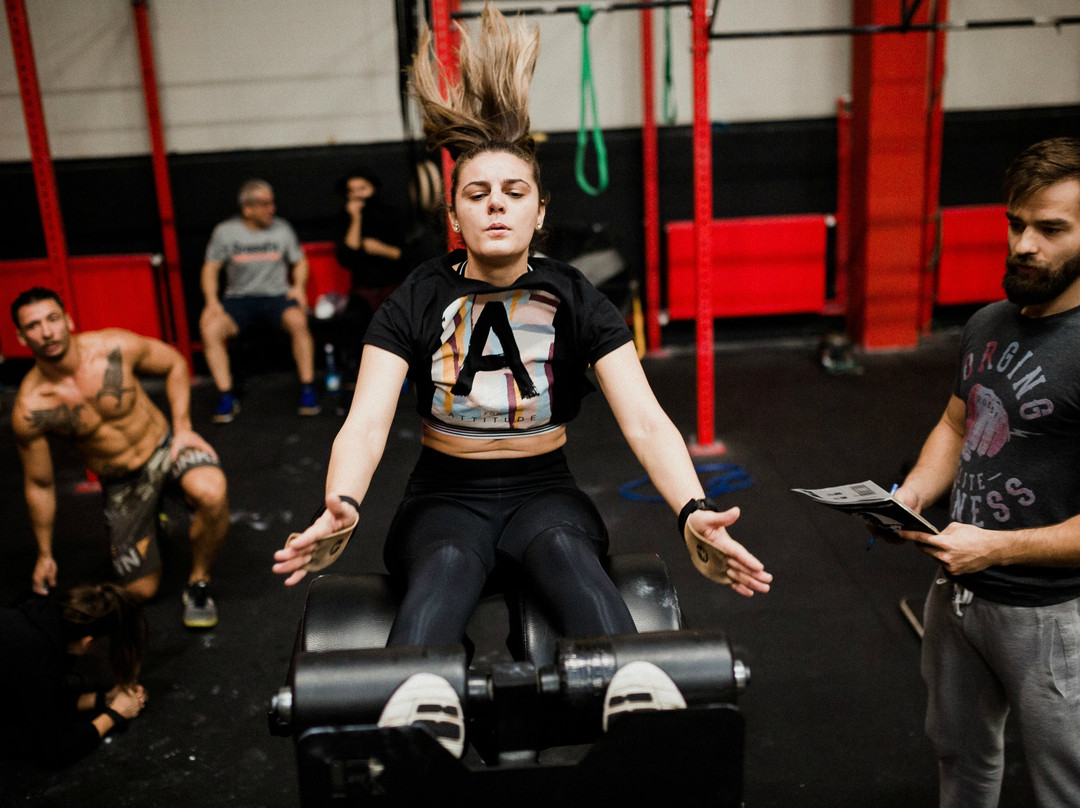 CrossFit Nord BVS-布加勒斯特必去景点